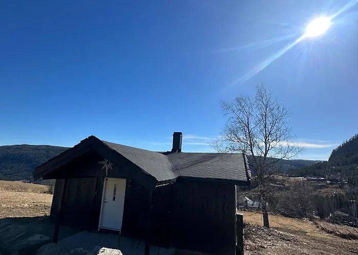 Cozy Little For Rent In Oppheim Al